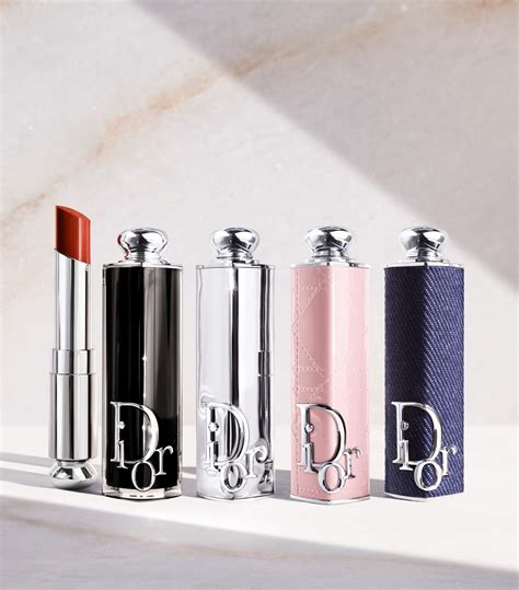 dior lipstick case price|dior lipstick collection case.